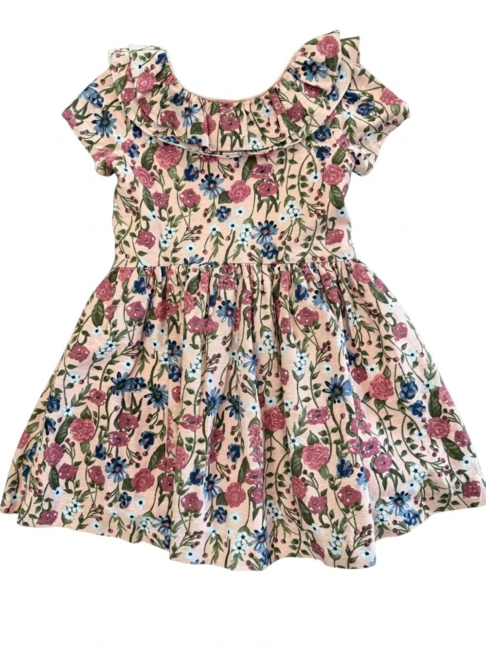 Scotch & Soda Girls Pink Floral Ruffle-Neck Short Sleeve Dress Size XS